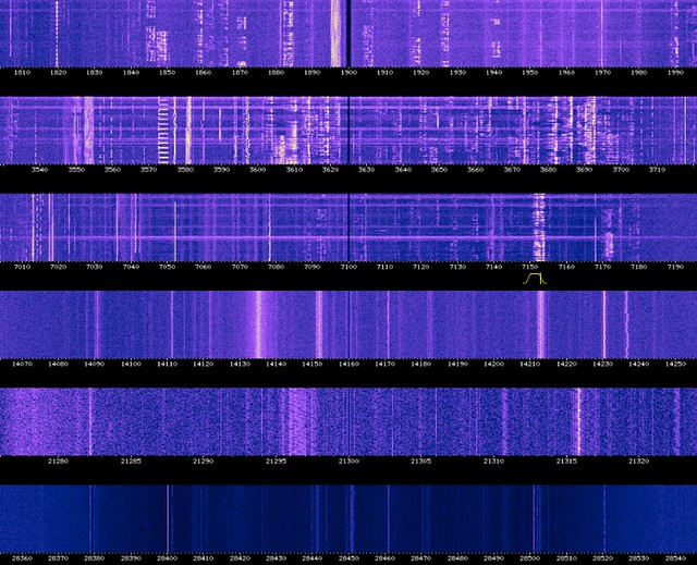 The Full Spectrum White Noise of the Network